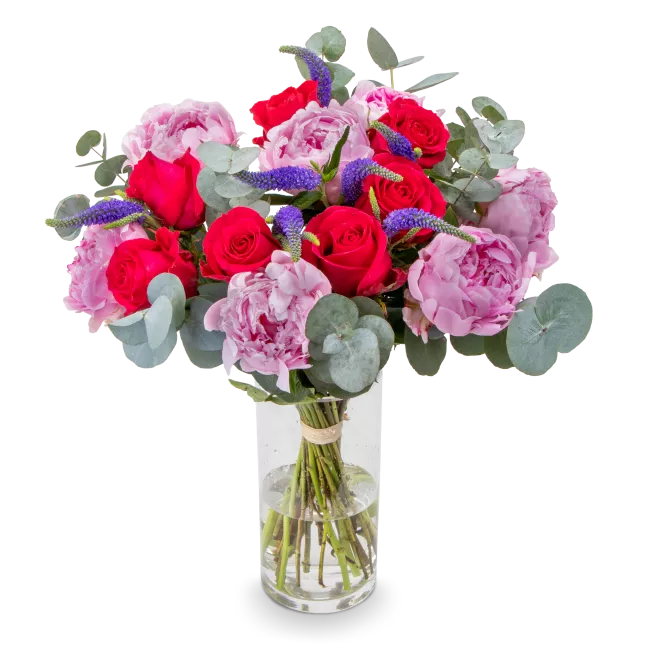 Flowers of peonies